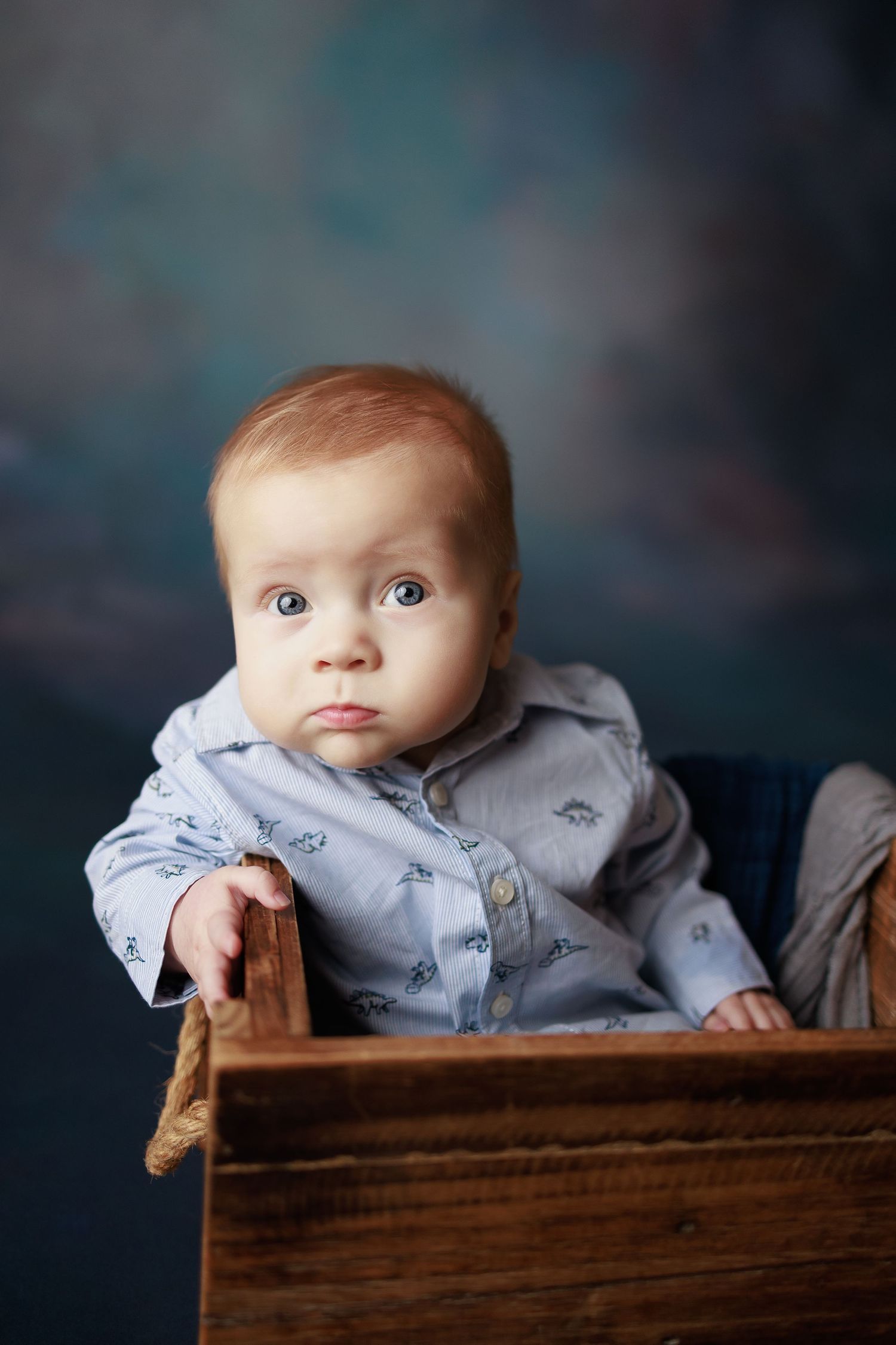 6 month old boy photo session