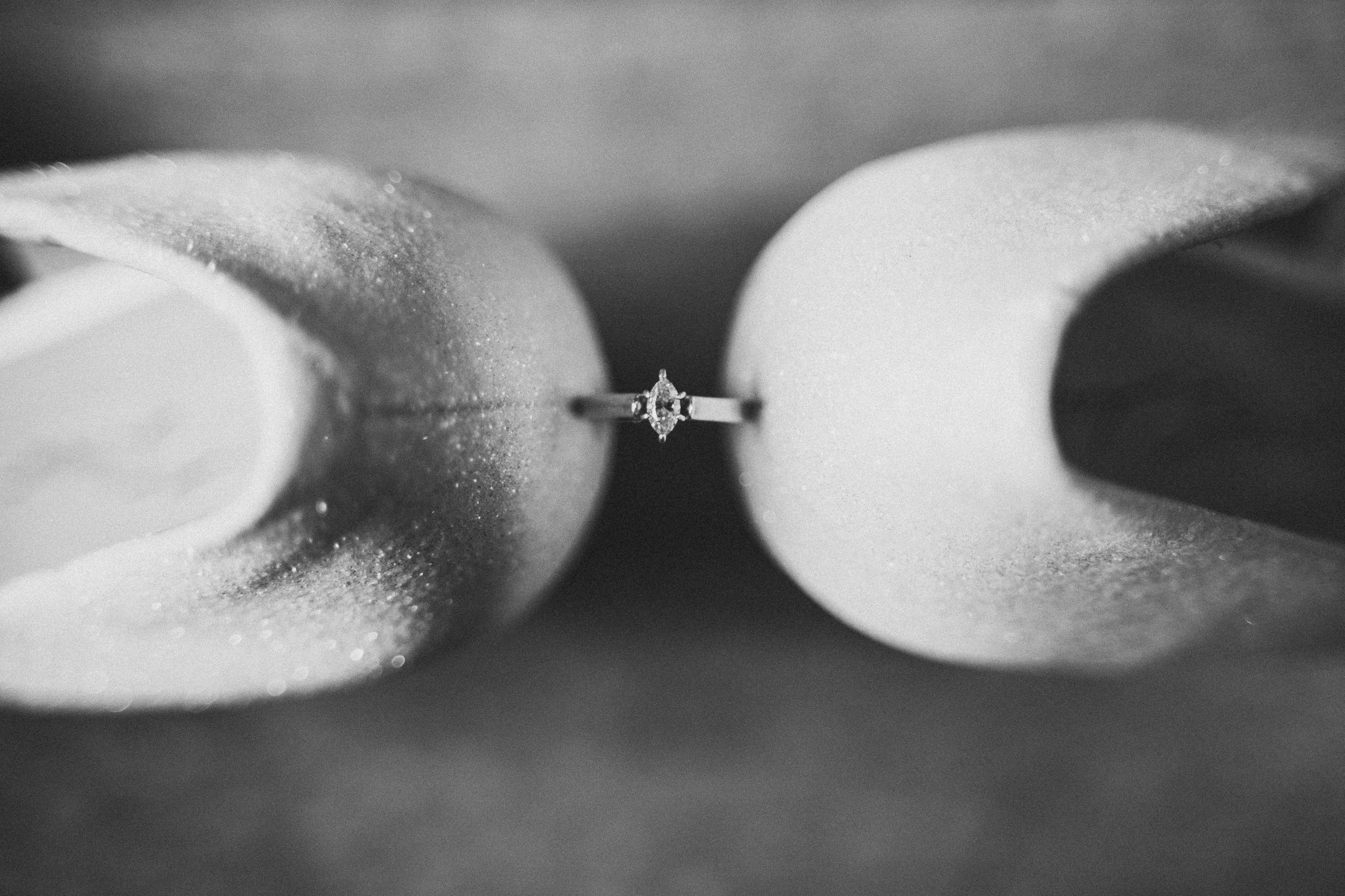 Black and white abstract photograph showing a series of smooth curved shapes with dramatic light and shadow.