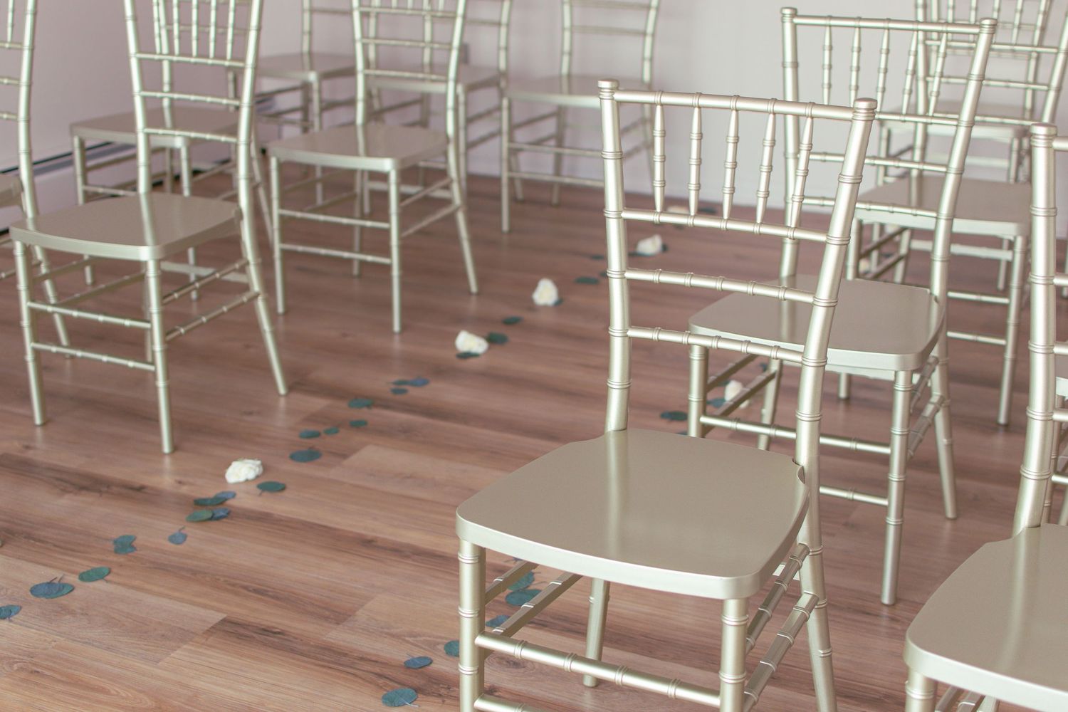 Maryland Micro Wedding