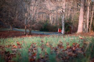 Maryland Micro Wedding