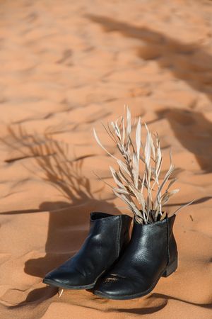 Black leather boots with dried grass or wheat stalks arranged inside them sit on sandy desert terrain.