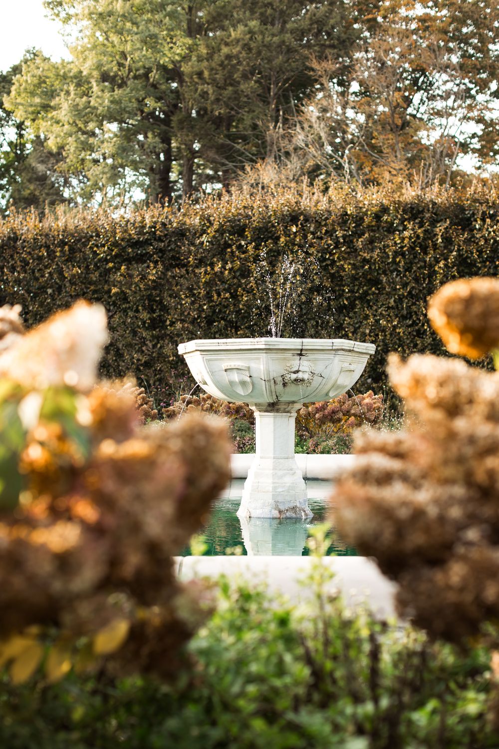 A white stone garden fountain surrounded by autumn flowers and trimmed hedges in peaceful setting at Garden at Elm Bank in Wellesley.