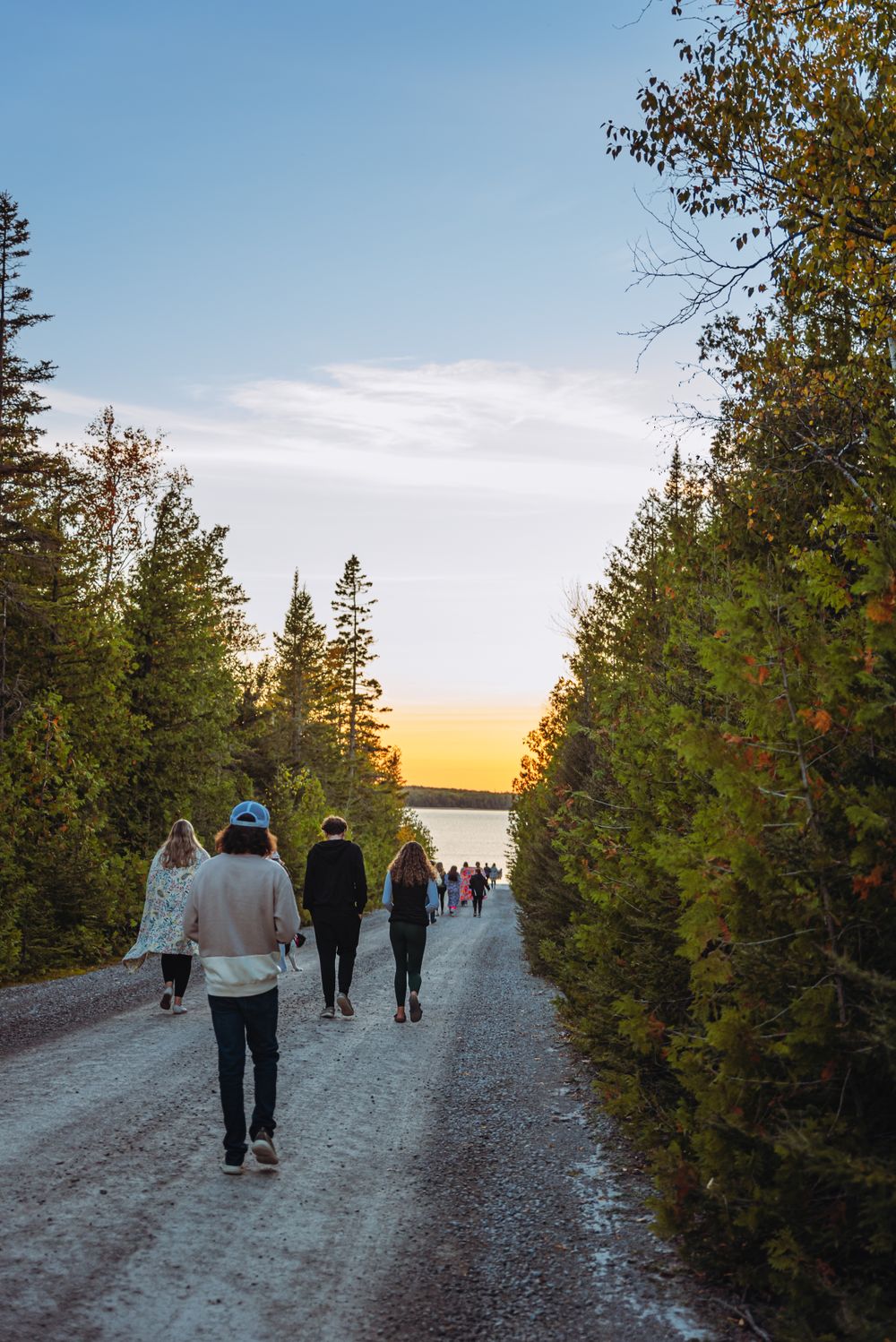 People walking on a tree-lined path towards a sunset over water.