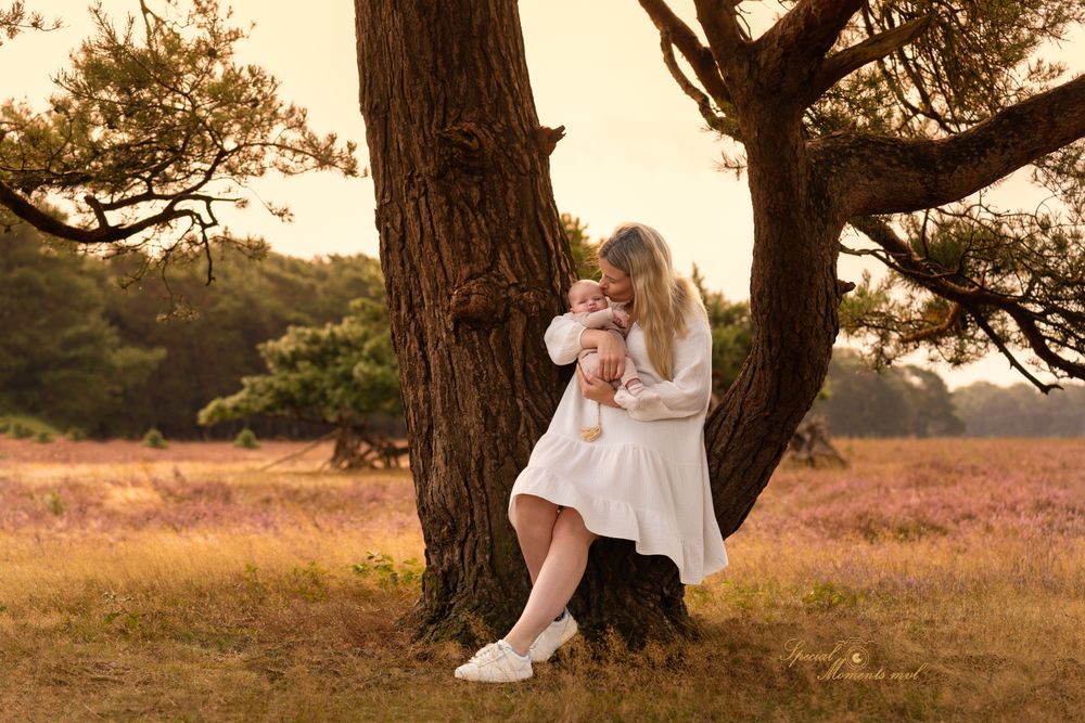 Newborn fotoshoot moeder samen met pasgeboren baby op de heide tussen het bos, omgeving Heesch / Nistelrode. Door Special Moments MvL