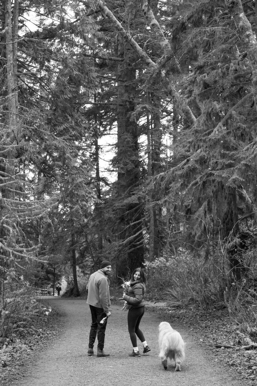 Group walking on a forest path with dogs among tall evergreen trees.