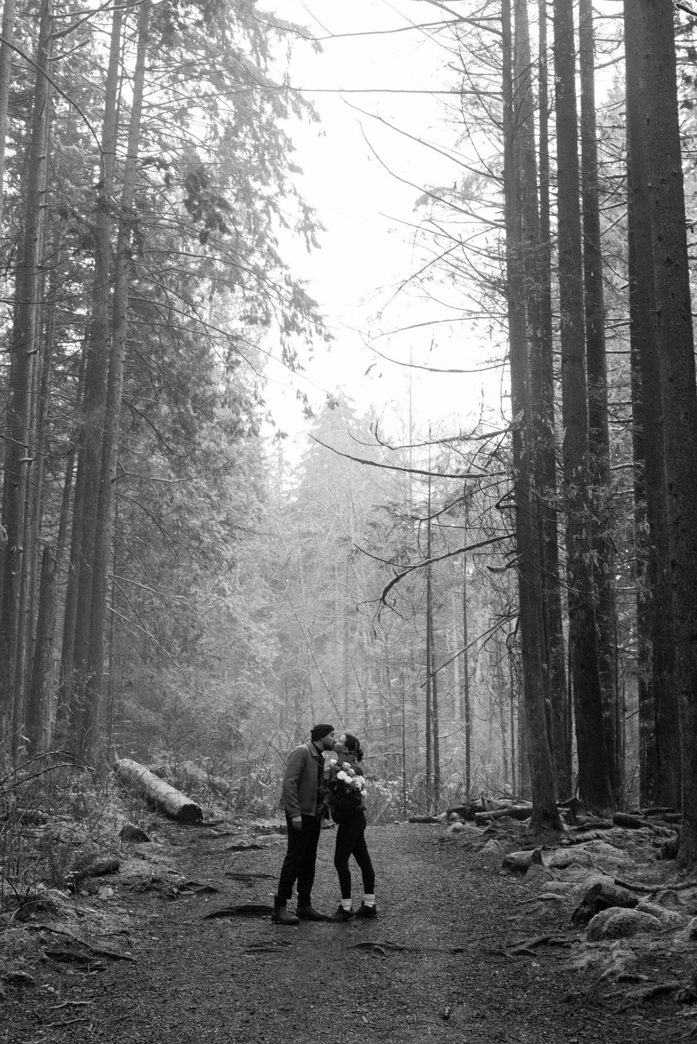 Silhouetted figures walking through a misty forest of tall trees in black and white.