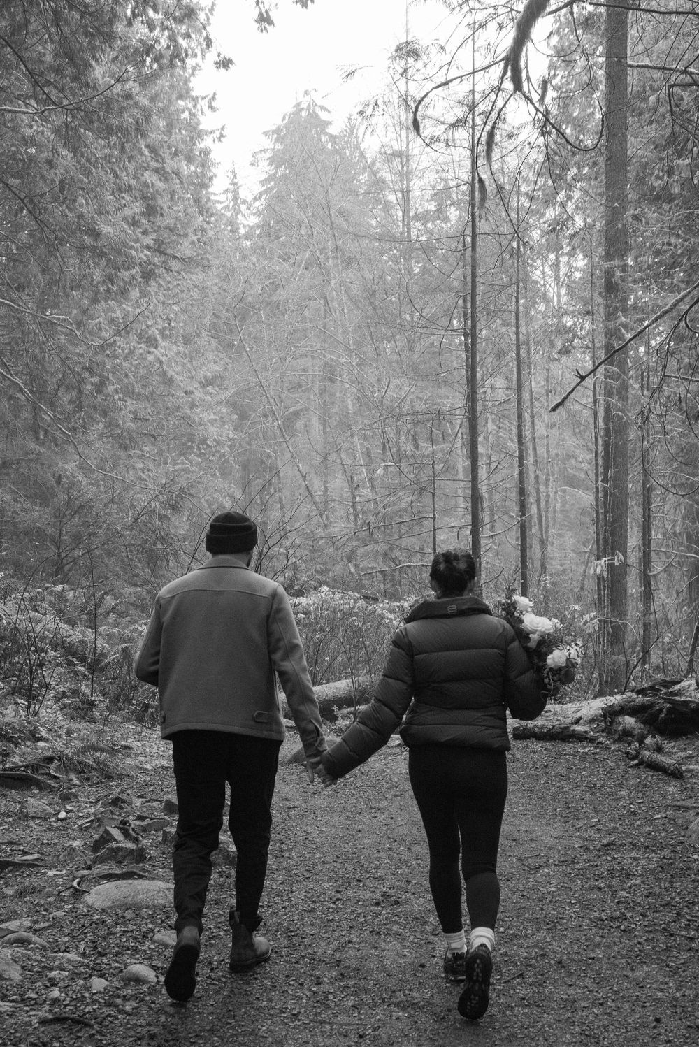 People walking hand in hand down a forest trail surrounded by tall evergreen trees.