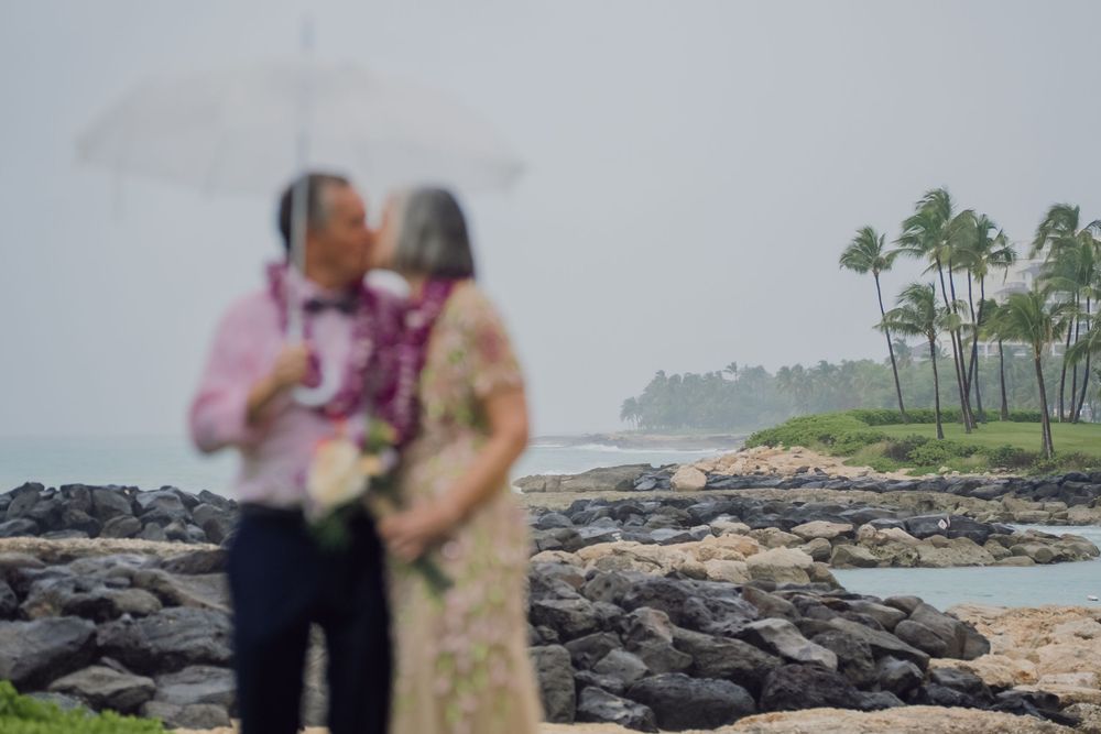 Couple kissing under umbrella on rocky Hawaii beach during rain with palm trees in background.
