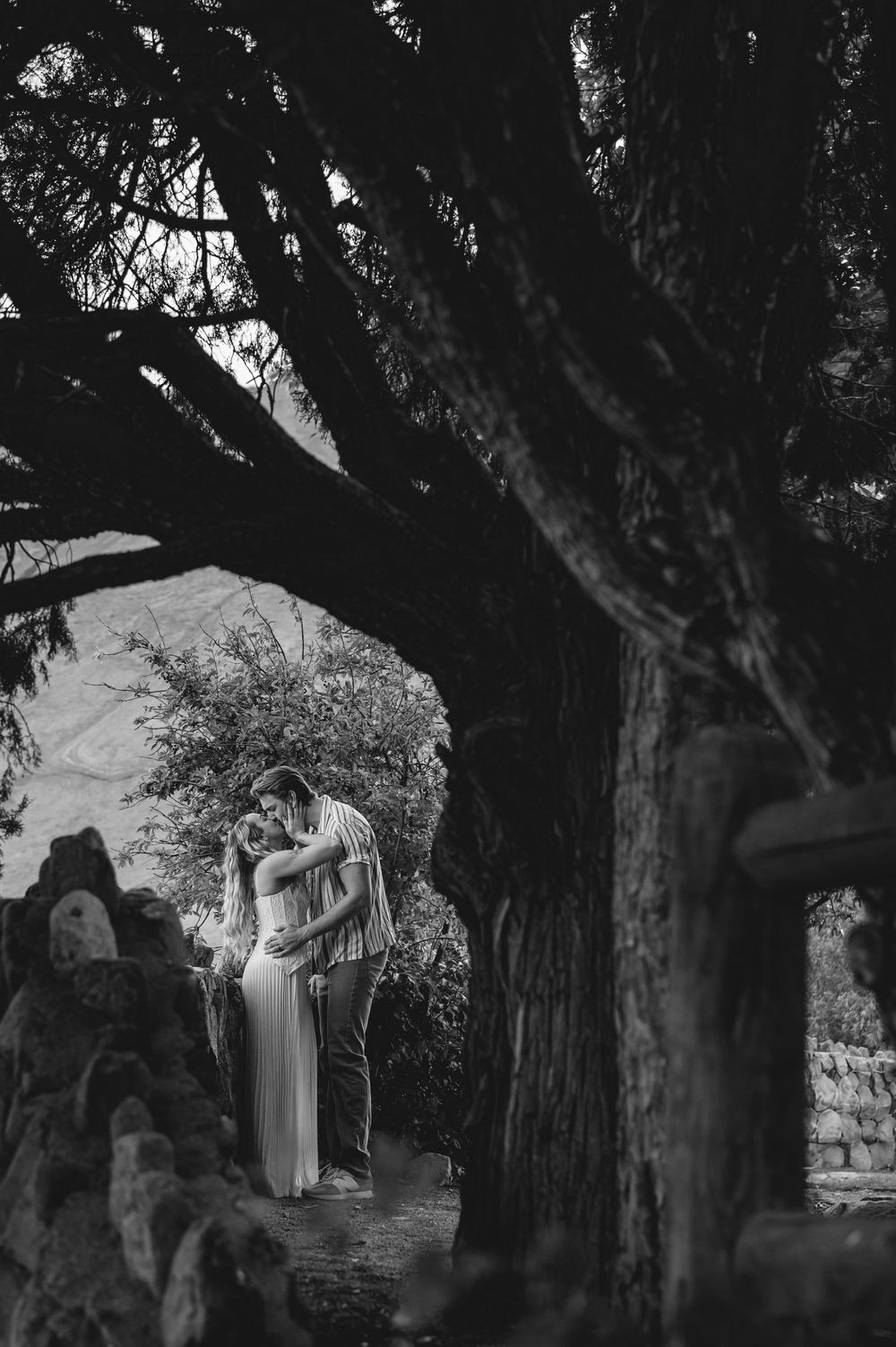 Black and white photo of a romantic couple embracing under ancient trees in a garden setting.