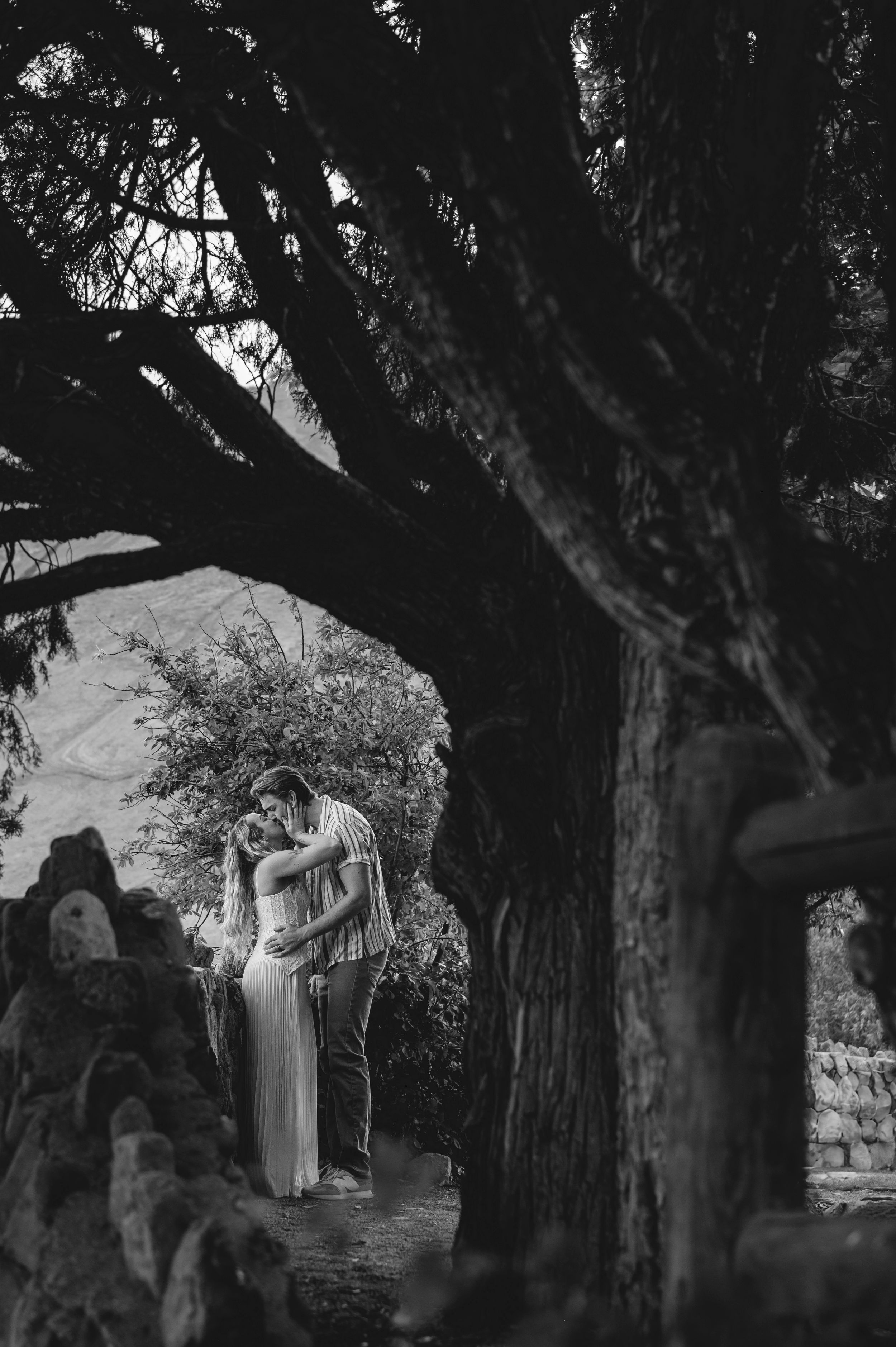 Black and white photo of a romantic couple embracing under ancient trees in a garden setting.