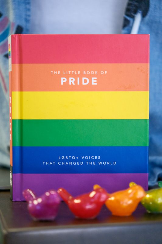 brave-alliance-fort-wayne-indiana-lgbtqia+-photographer-photography-photos-community-space-place-events-meetings-help-resources-1037