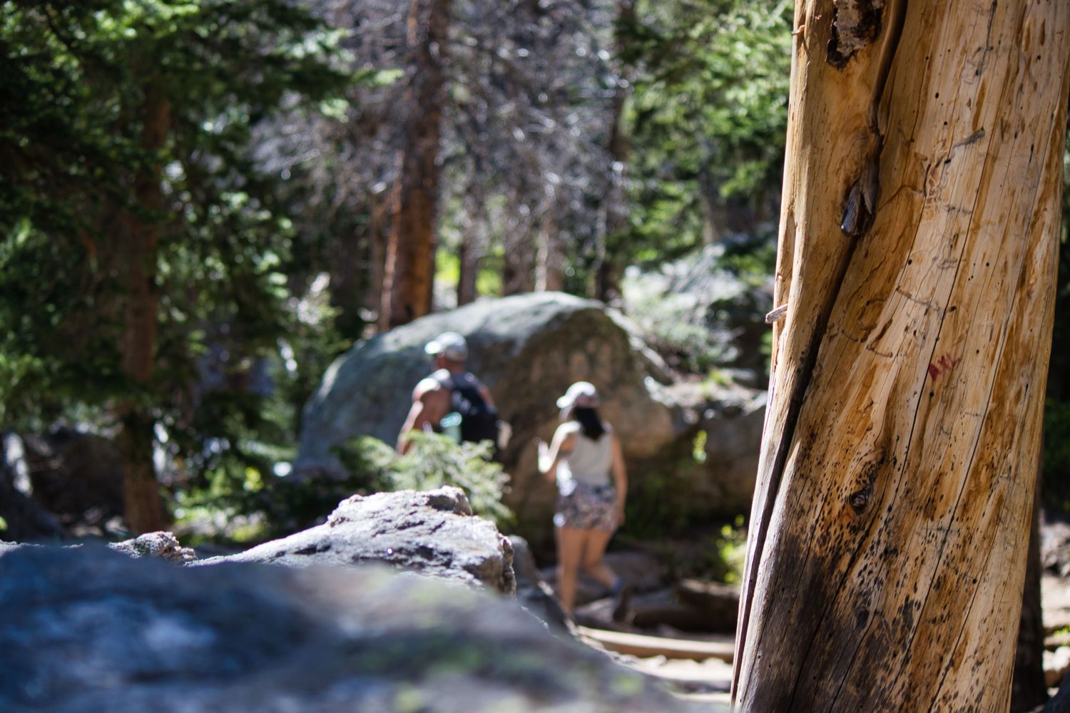 Couple walking up the trail to Emerald Lake where he will propose to her. Pixcapades | The Rocky Mountain Proposal Photographer