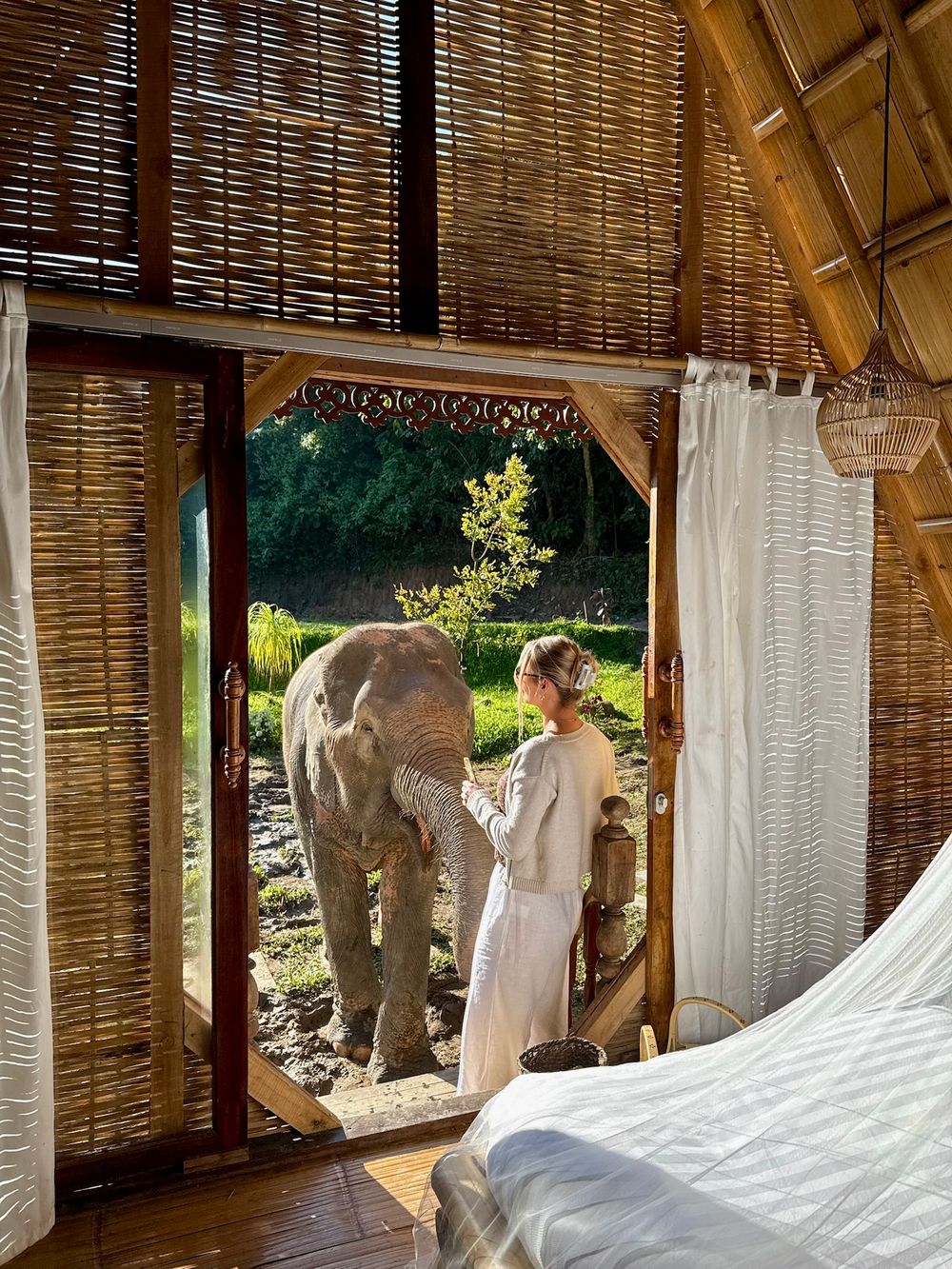 Woman in white dress standing at open bamboo hut doorway with elephant outside in lush green setting.