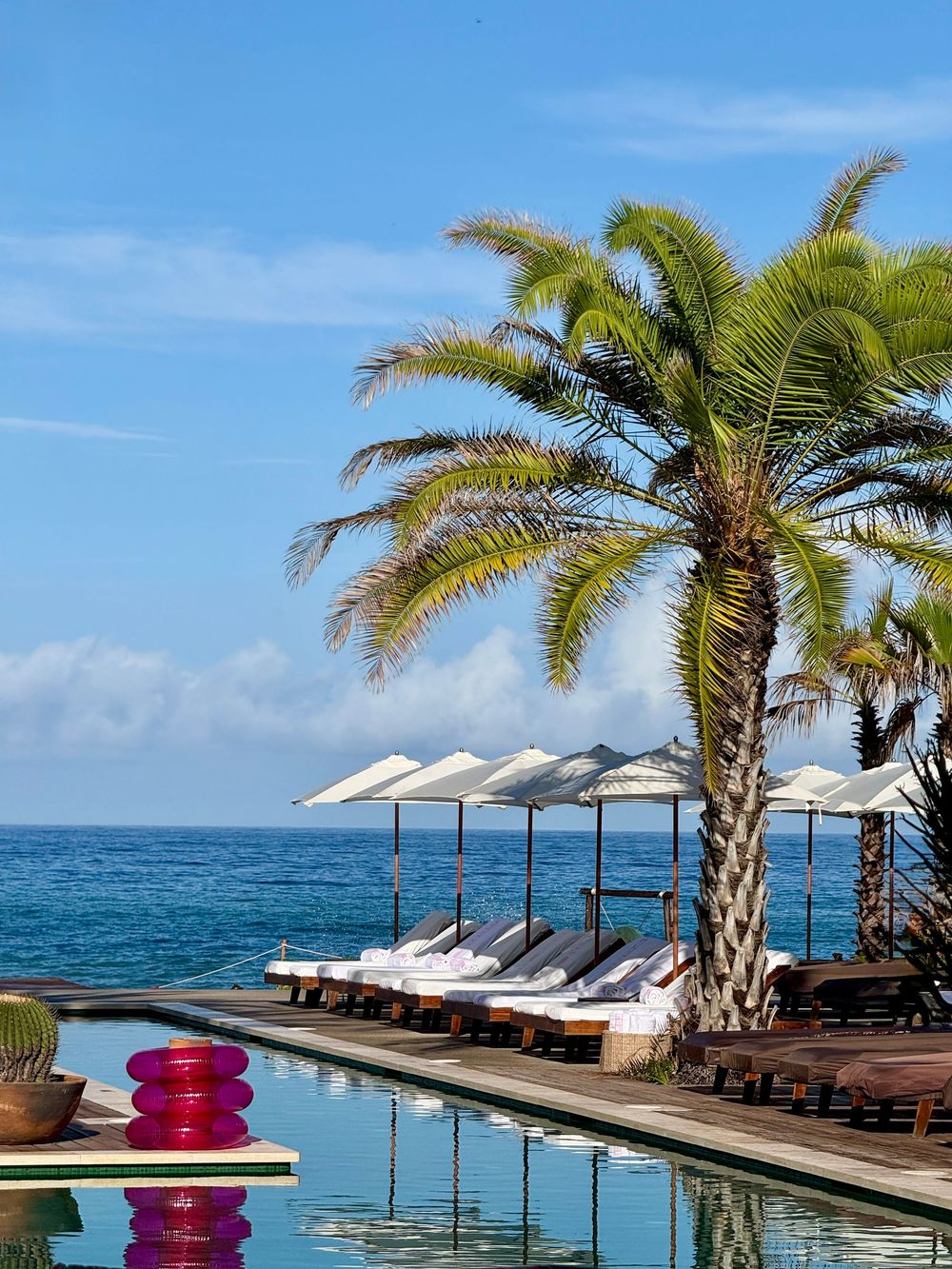 Luxury infinity pool with lounge chairs, white umbrellas, and a palm tree overlooking a calm blue ocean.