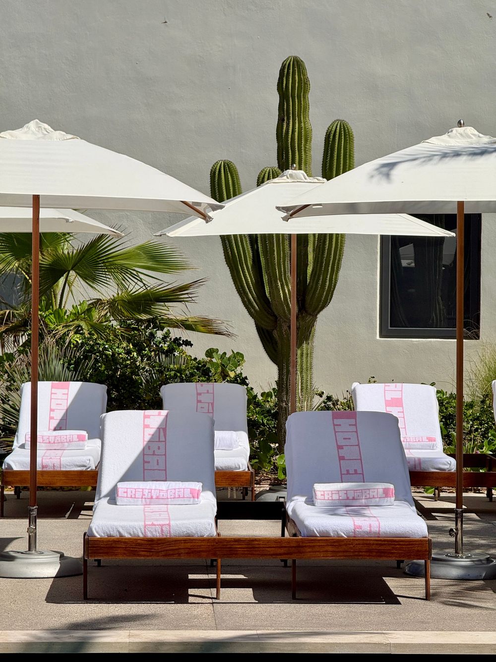 Luxury pool lounge chairs with white umbrellas and folded towels, framed by a tall cactus and tropical plants.