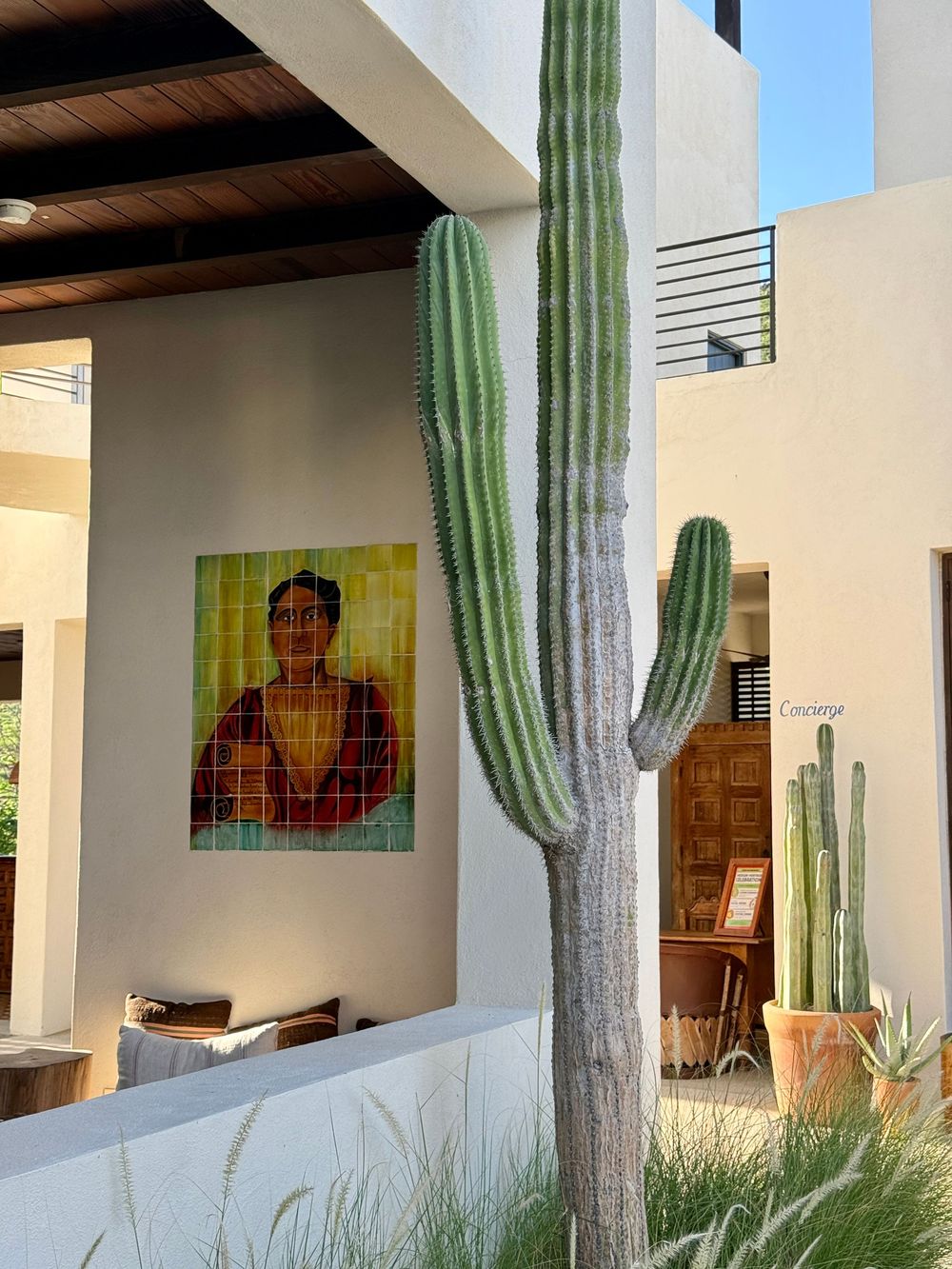 Tall saguaro cactus beside a mosaic tile portrait painting on a white stucco wall of a Mexican resort.