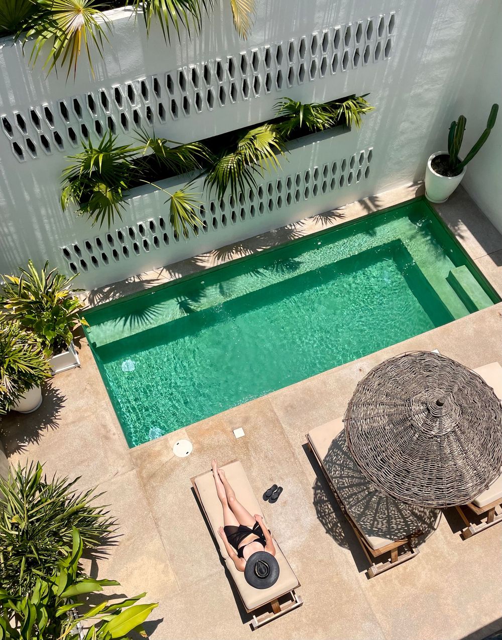 Aerial view of a small rectangular pool with a sunbather and wicker umbrella surrounded by tropical plants in Sayulita, Mexico.