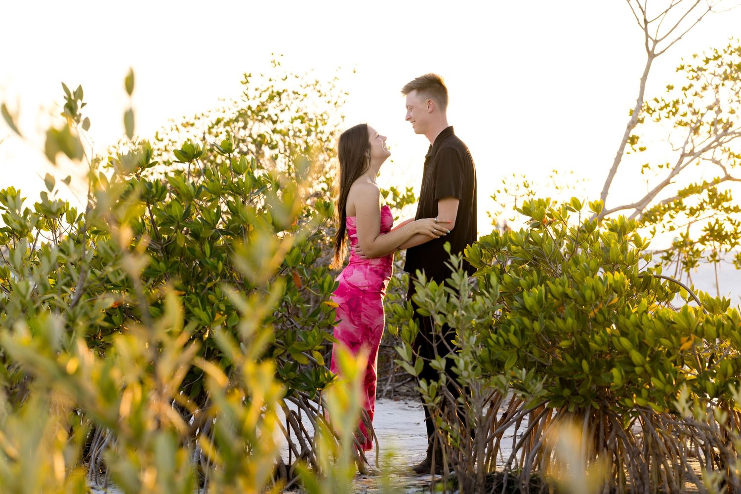 Couple in pink dress and black shirt standing romantically among lush green mangroves at golden hour.