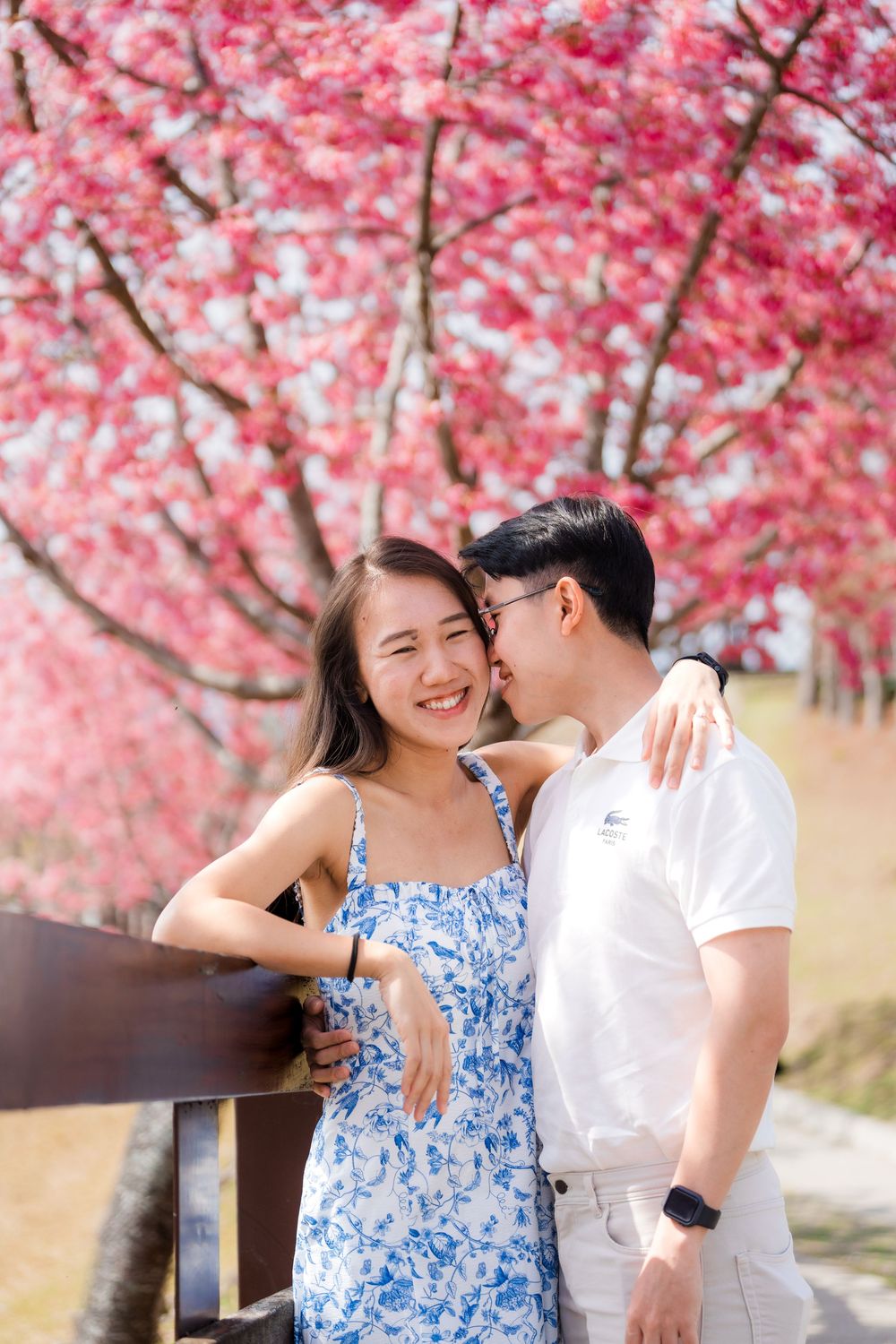 A happy Asian couple embraces and shares a kiss under vibrant pink cherry blossom trees outdoors.