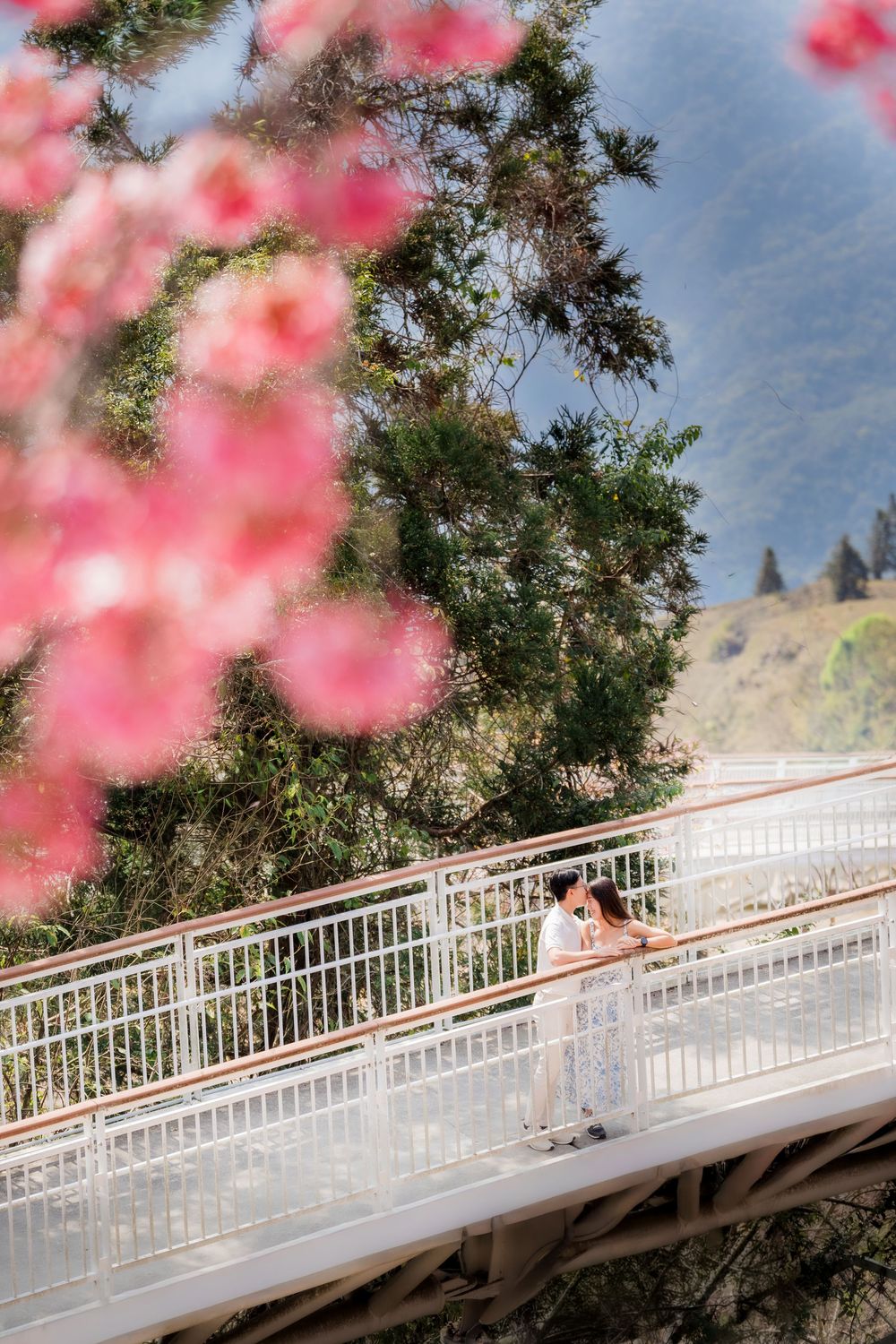 Couple sharing a romantic moment on a white bridge surrounded by pink cherry blossoms and green mountains.