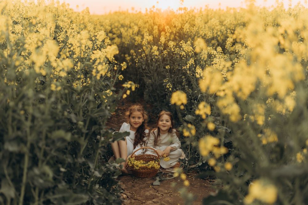 Outdoor family photography session in rapeseed field near Brussels