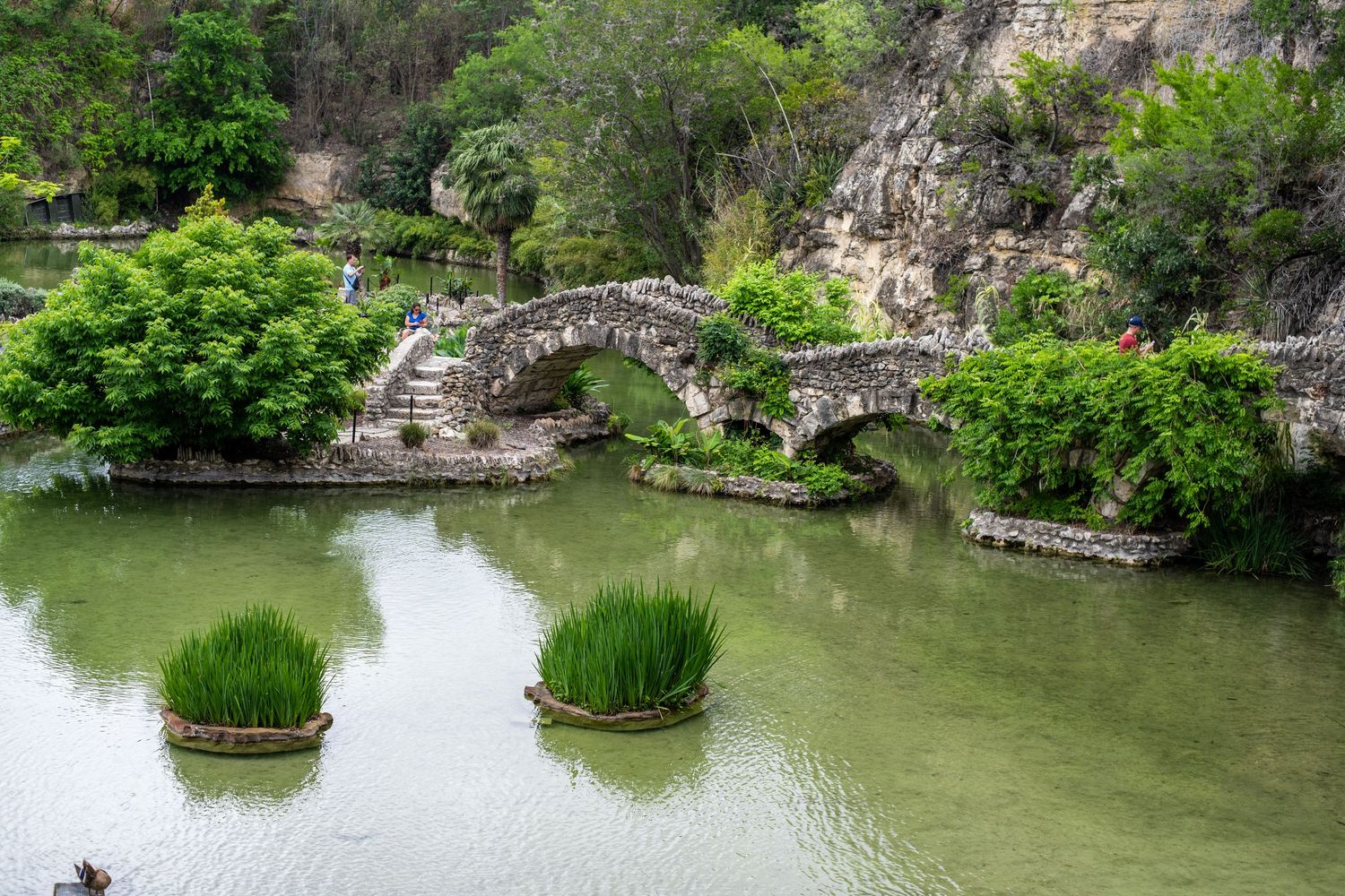 Stone arch bridge over a serene green pond in a lush Chinese garden with rocky cliffs and verdant trees.