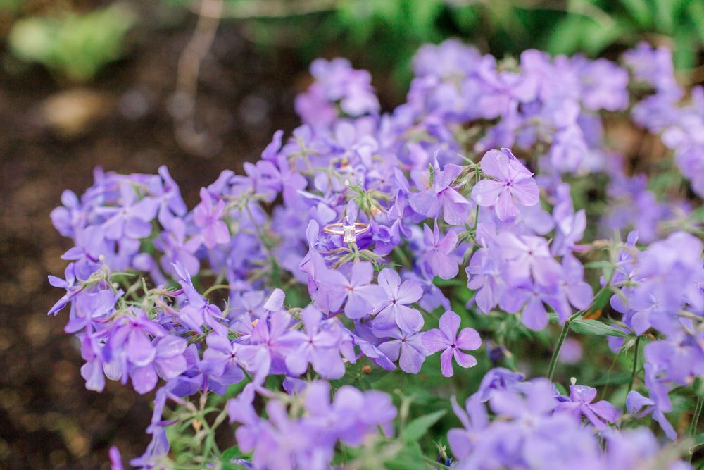 Engagement Ring in a beautiful garden in Indiana.