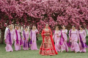 Wedding party poses under vibrant pink cherry blossoms with bridesmaids in purple outfits and bride in red lehenga.