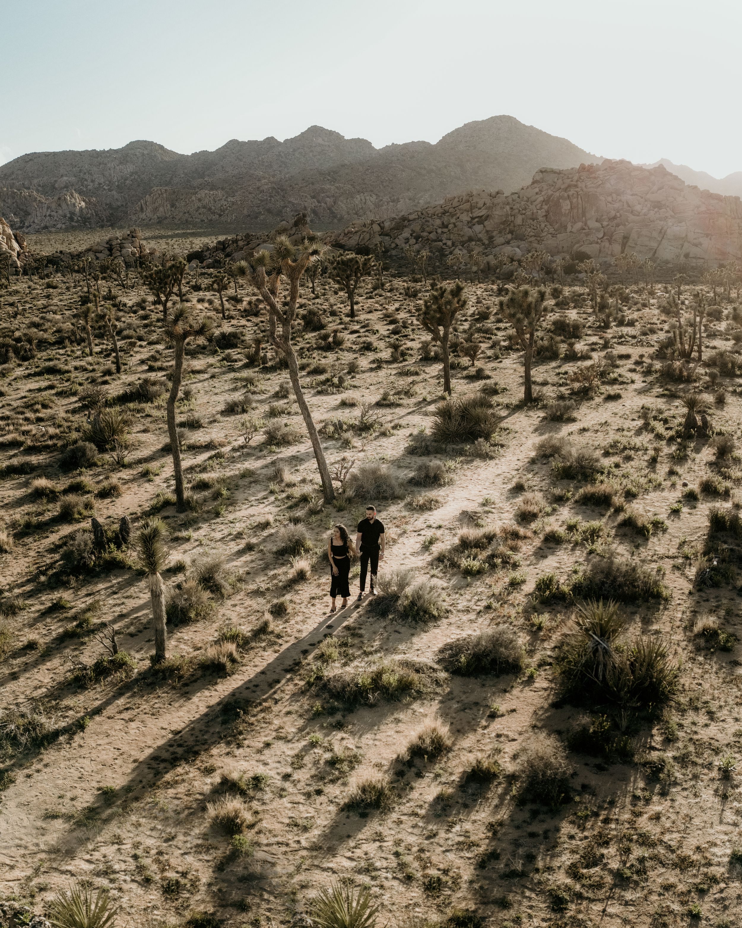 Two hikers walk along a desert trail dotted with Joshua trees against rugged mountain backdrop at sunset.