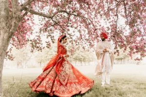 A traditional Indian couple celebrates under blooming cherry blossoms with the bride in a vibrant red lehenga.
