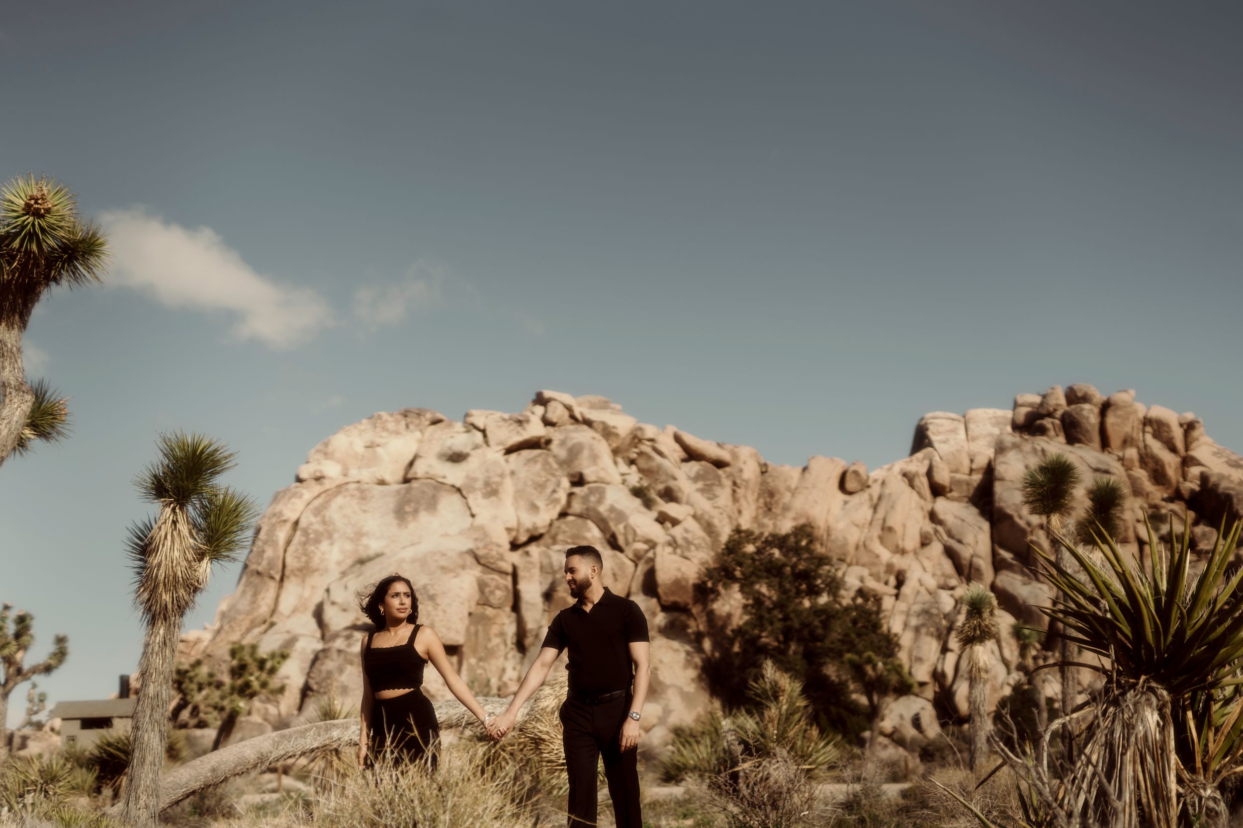 Two silhouettes stand against dramatic rock formations and Joshua trees in a desert landscape at sunset.
