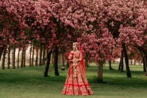 A person in a red traditional bridal lehenga poses in front of blooming cherry blossom trees in a garden setting.
