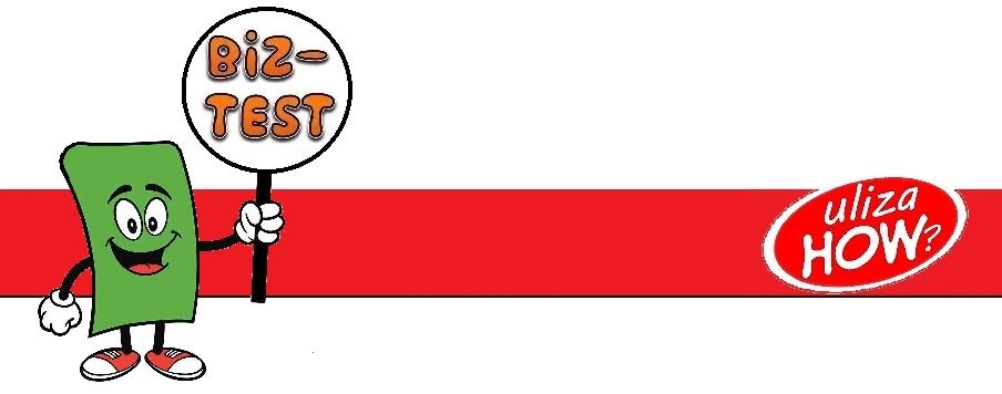 Brand logo for Biz-Test by How showing a green cartoon mascot character holding a flag against red background.