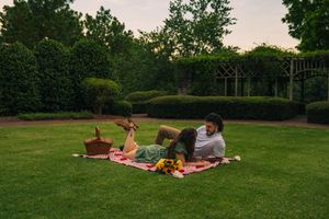 A panorama of six images showing people lounging on picnic blankets in a lush green park during sunset.