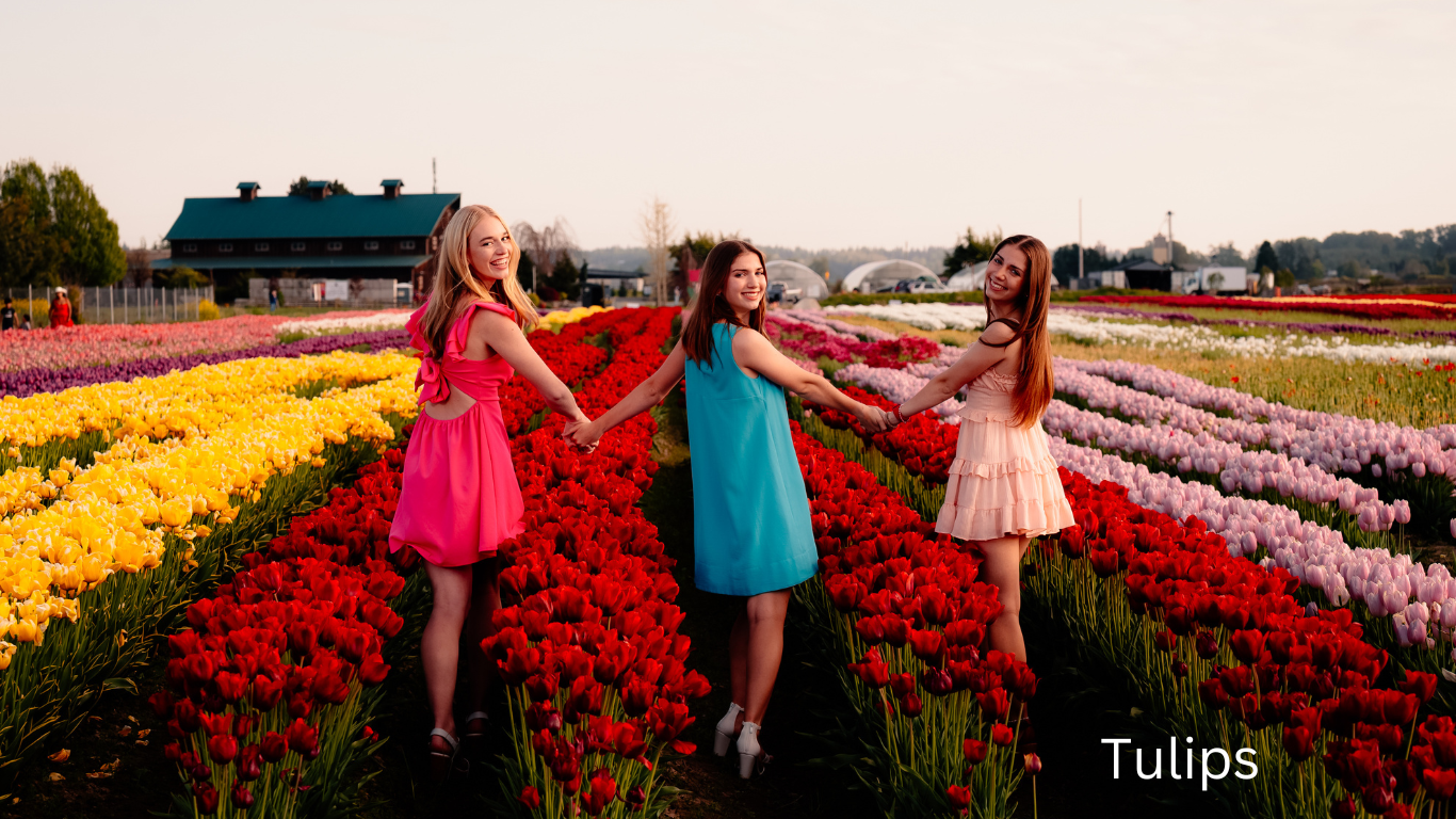 Three people in colorful dresses celebrating among vibrant tulip fields at sunset.