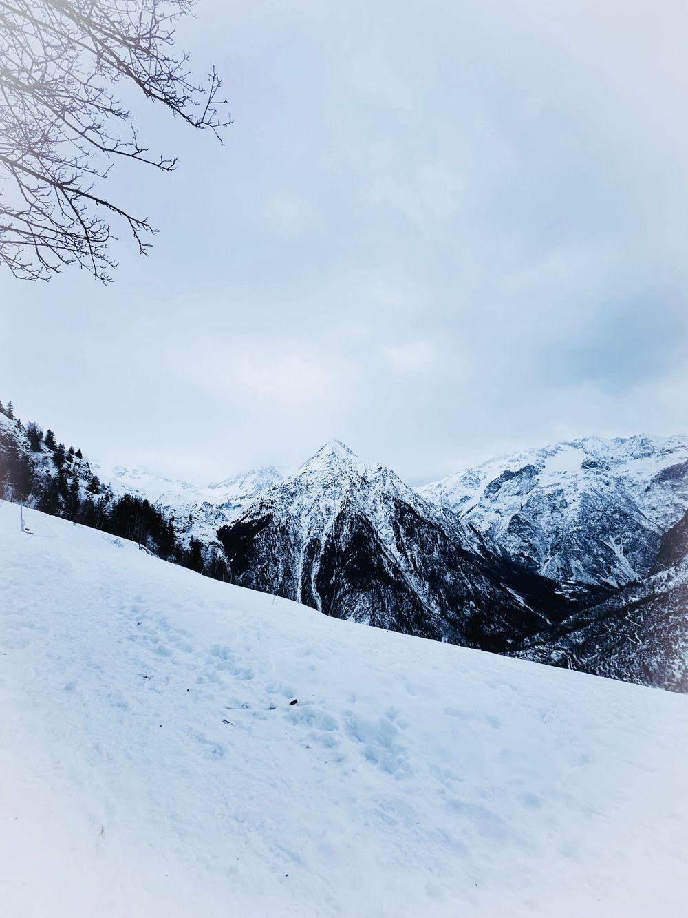 Snow-covered mountain peaks against pale blue winter sky with bare tree branches.