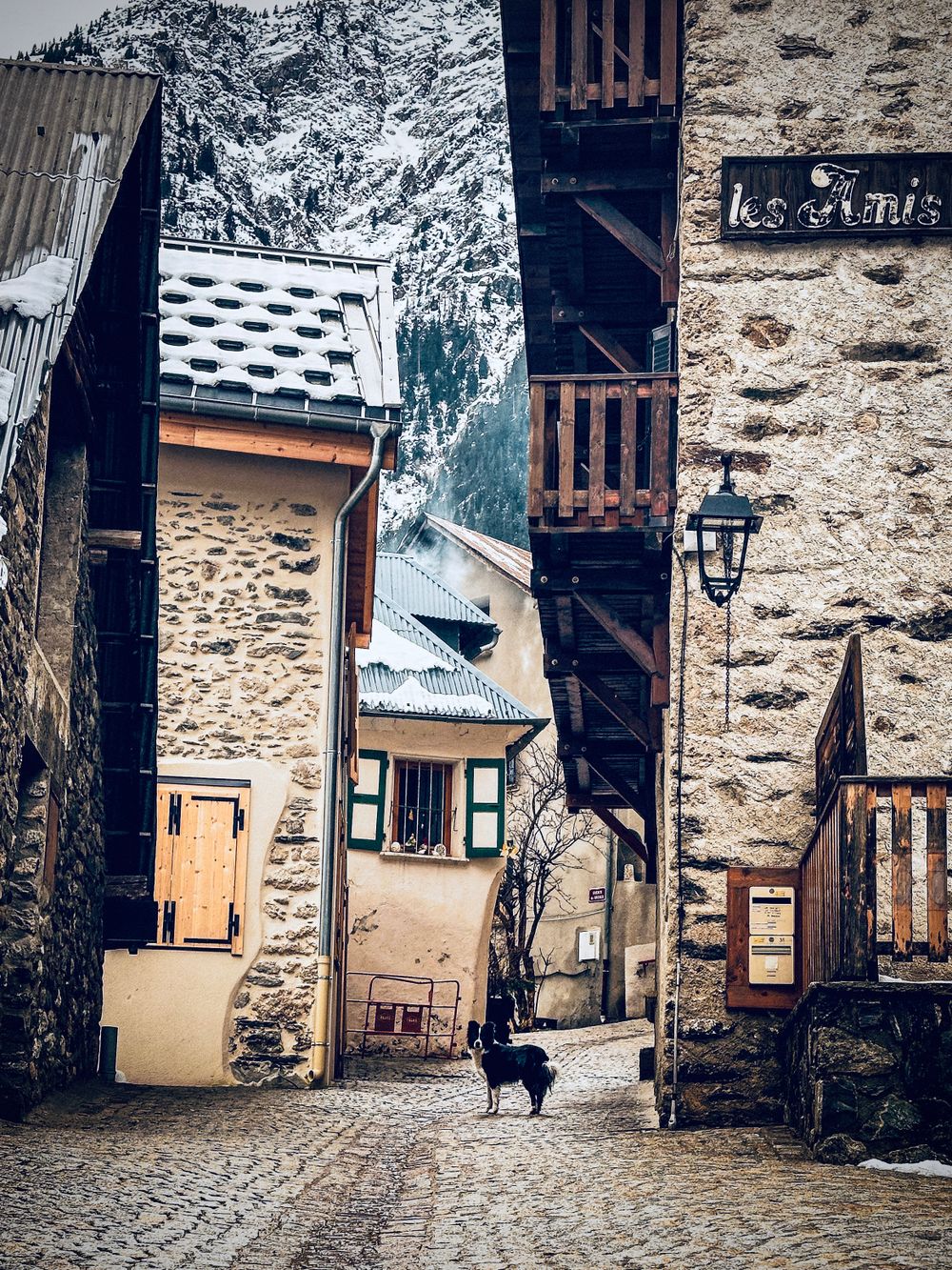 Historic stone buildings and a black cat on a cobblestone street in a quaint mountain village.