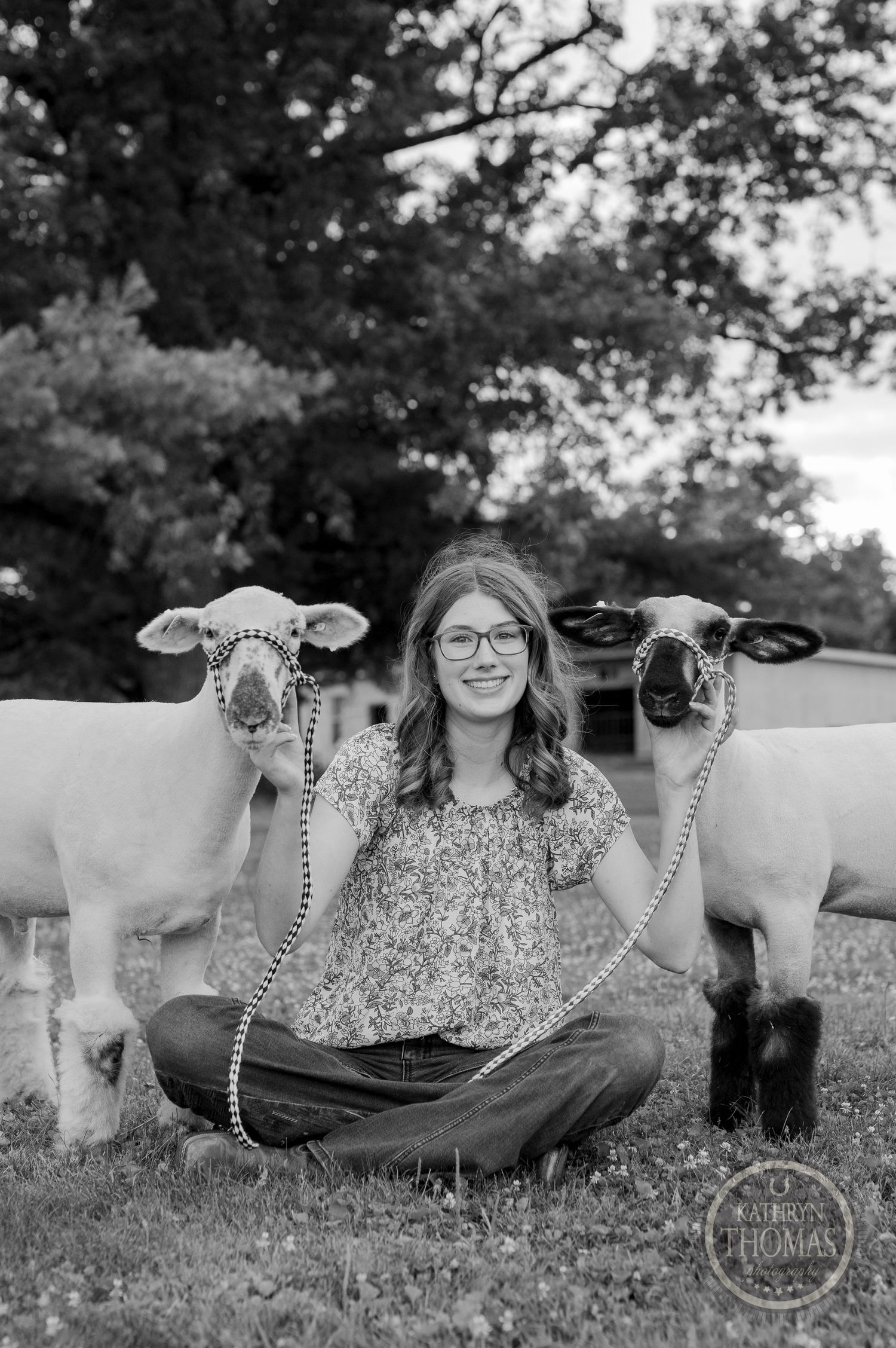 Two show lambs with their handler sitting between them in a peaceful outdoor setting.