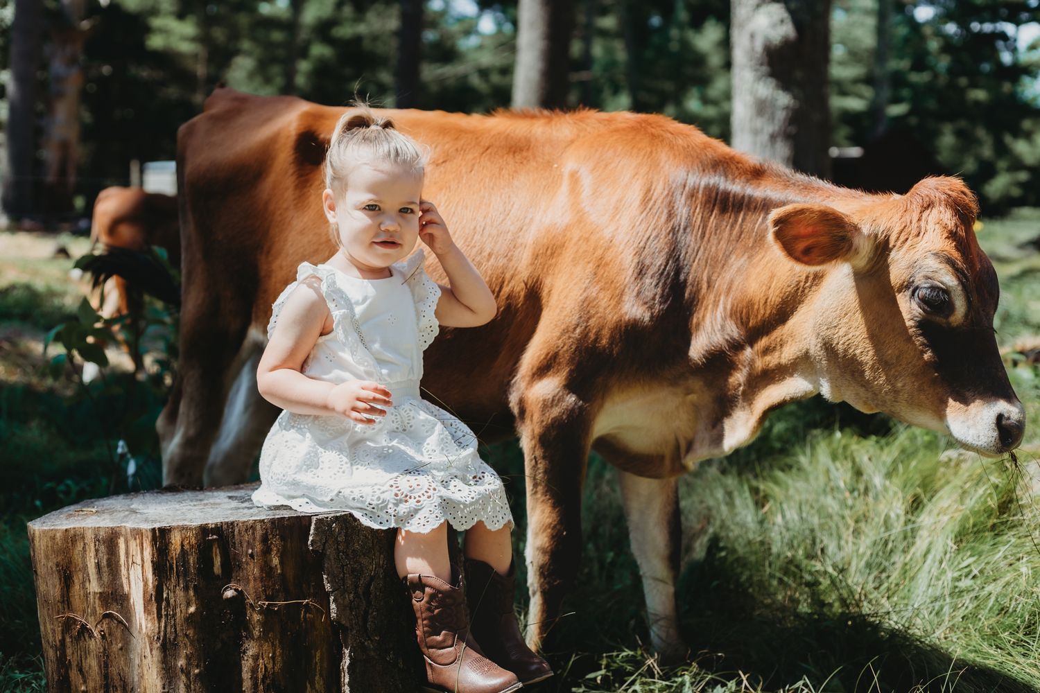 girl sitting on stump next to a cow during her themed farm session