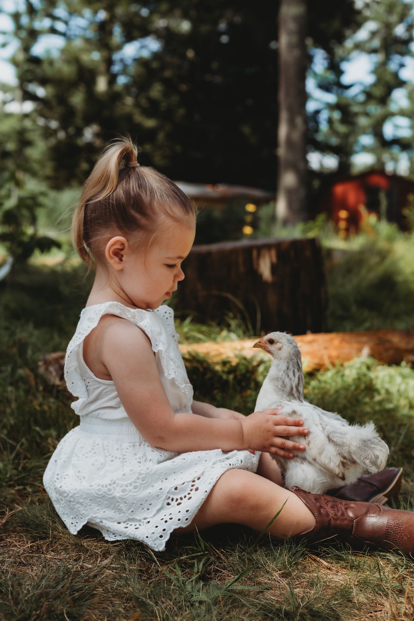 girl holding a chicken during her themed farm session