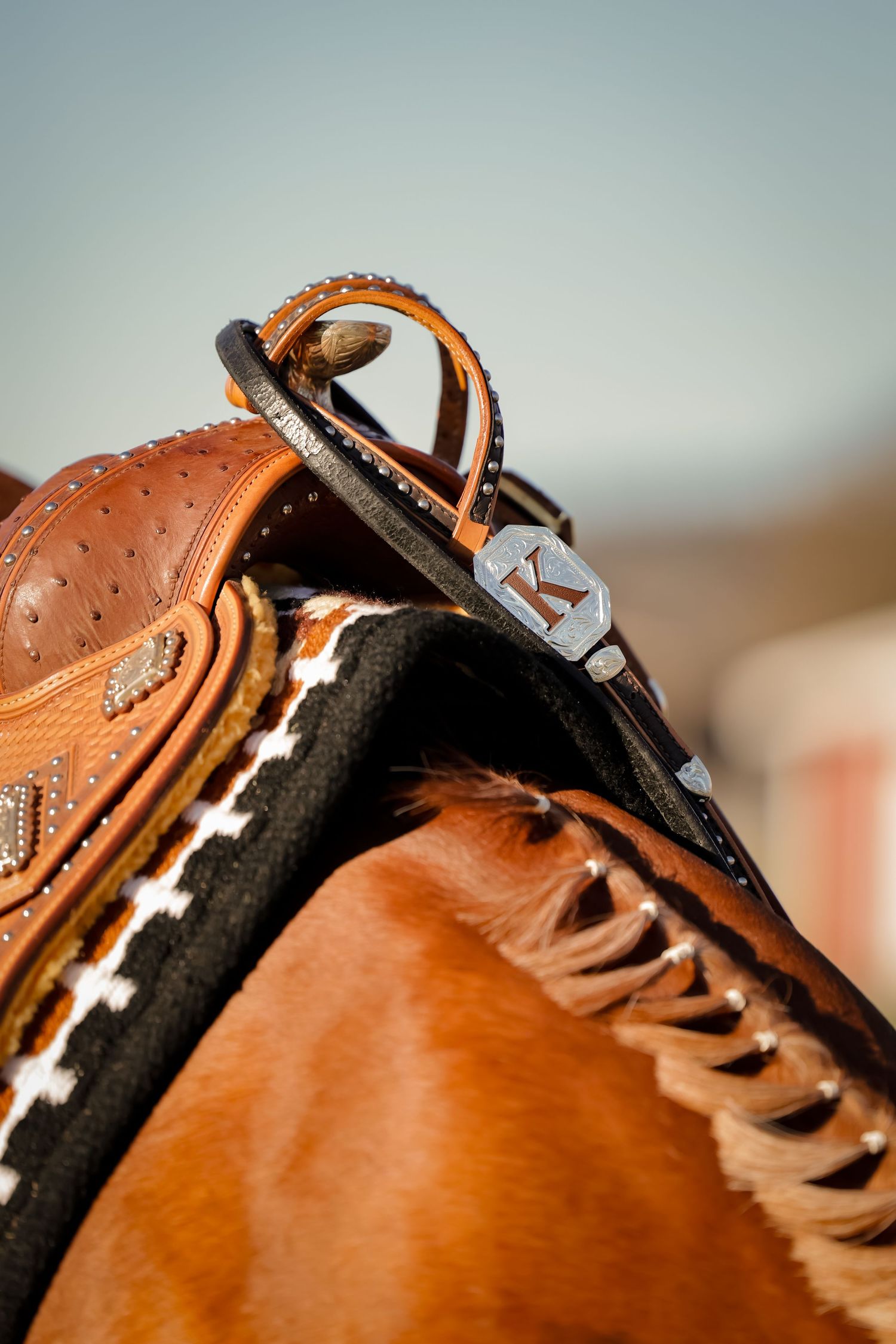 Branded Shutter photography by Kelsie Taylor