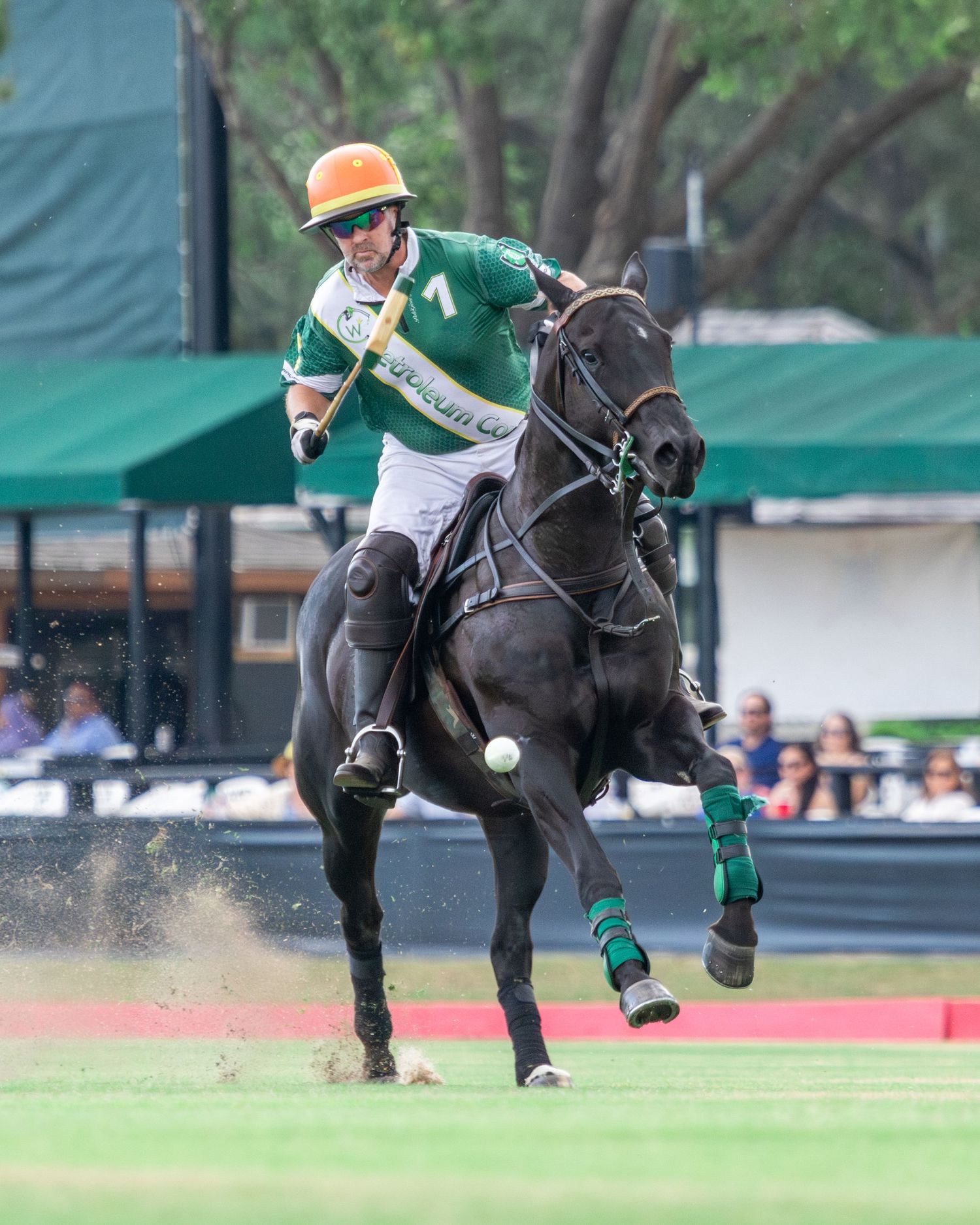 Polo Chris Williams