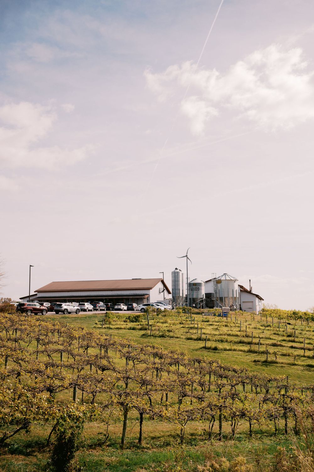 A vineyard stretches up a green hillside towards a winery building with silos and a wind turbine against a cloudy sky.