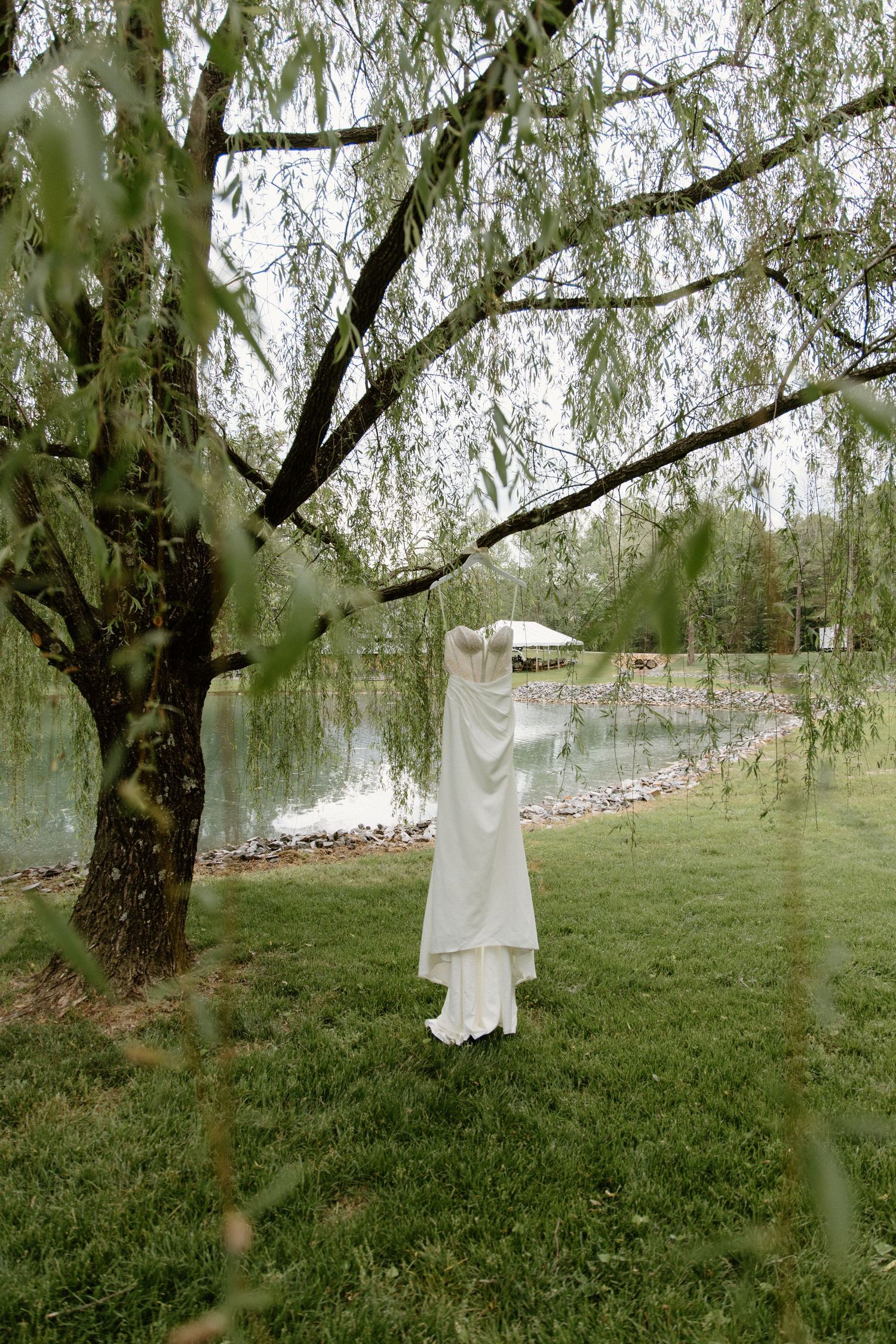White wedding dress hangs elegantly from weeping willow tree branch beside lake on grassy lawn.