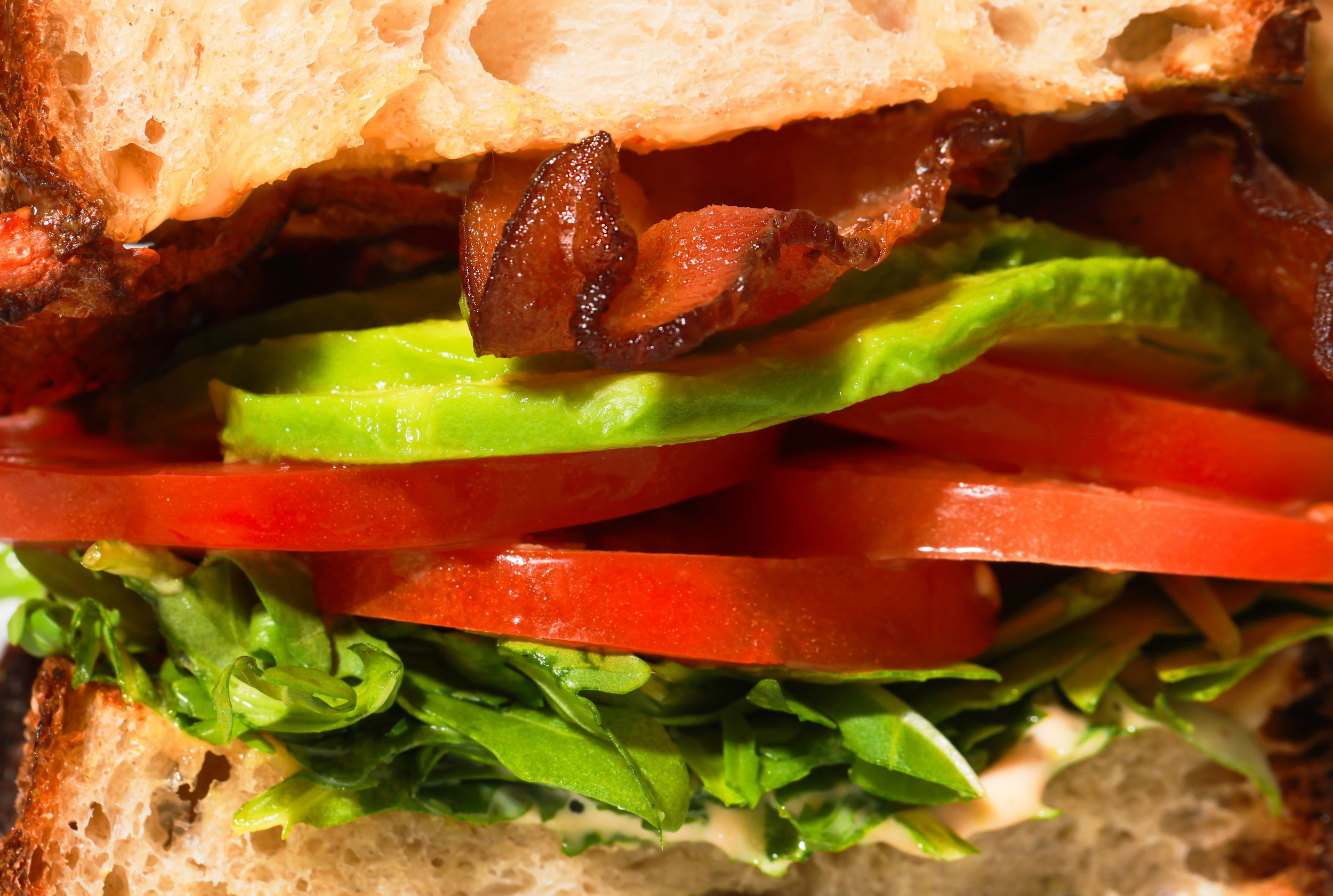 Harvest, Park City. BLTA sandwich. Macro shot of sandwich layers.