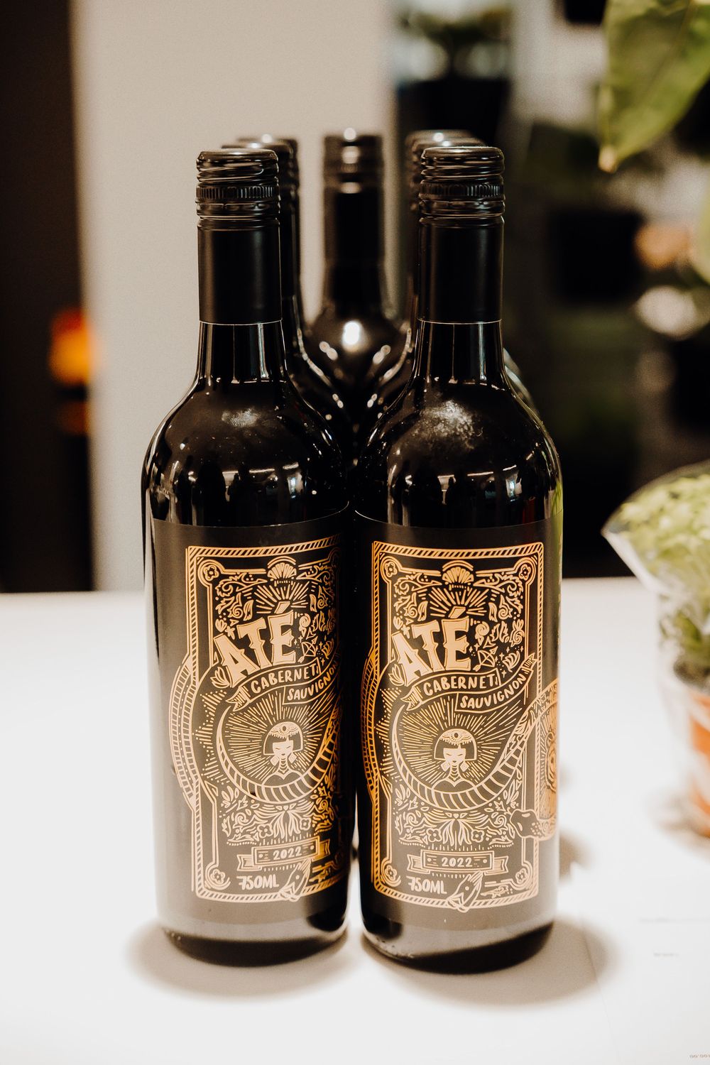 Two dark glass bottles of craft beer with vintage-style labels displayed on a white surface with soft lighting.