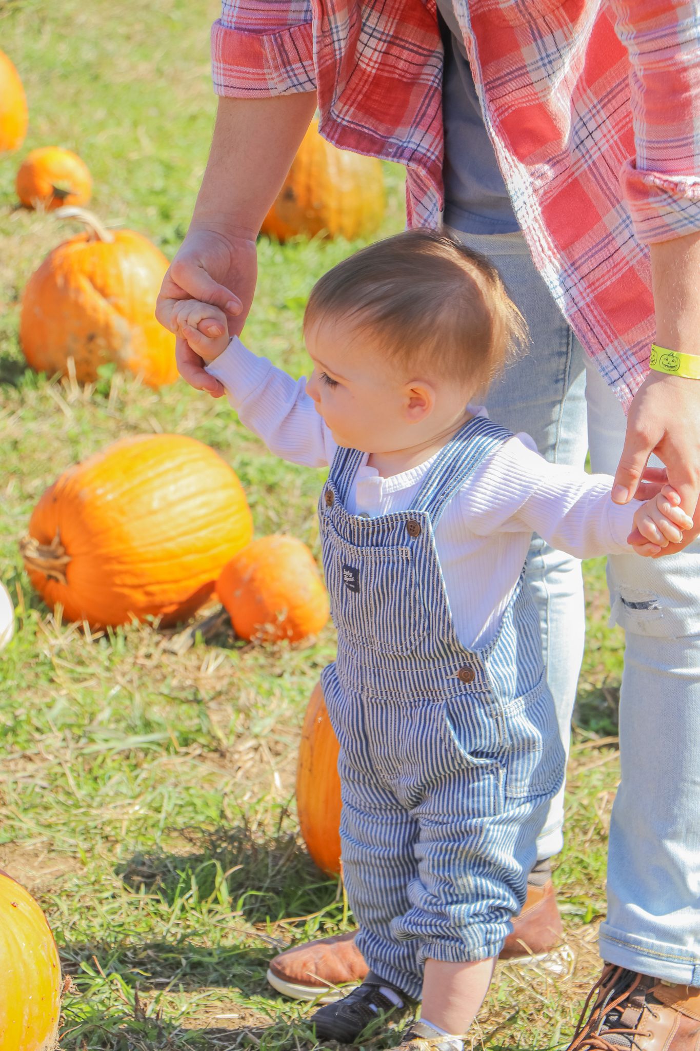 Pumpkin Patch Adventure Photography Session | Family Photos | Dad helping child walk in a Pumpkin Patch | K Murphy Photos | Roanoke, VA