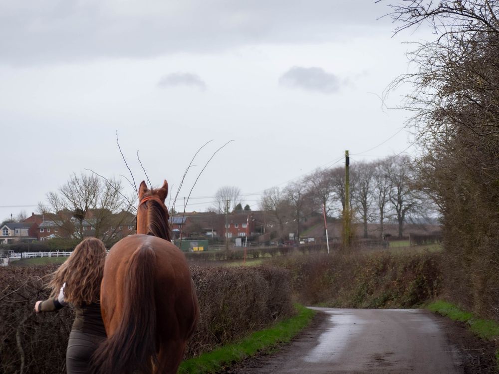 Owner and horse portrait nottingham bestwood park