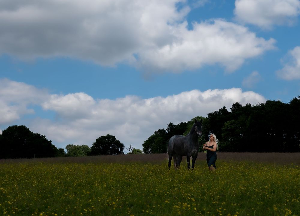 Owner and horse portrait ilkeston heanor on farm field