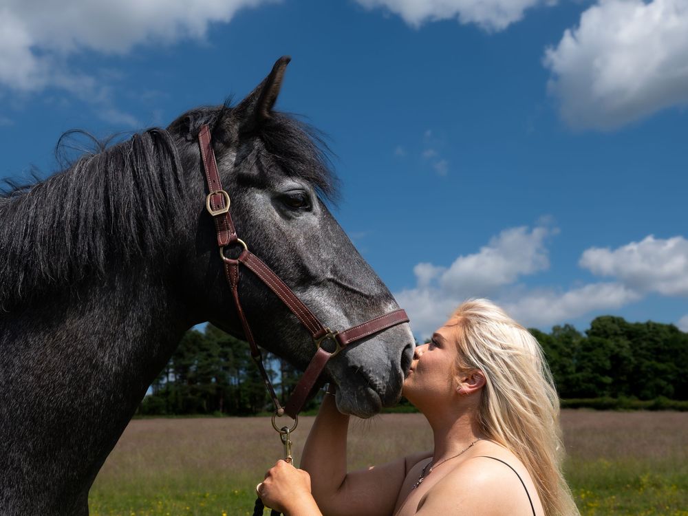 Owner and horse portrait kiss nose ilkeston heanor on farm field